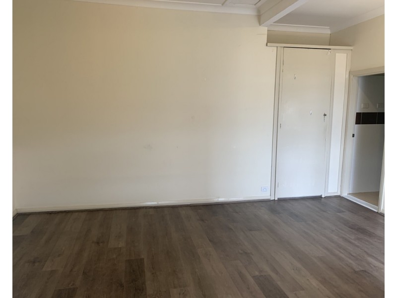 2/172 BROOMFIELD STREET, Cabramatta NSW 2166