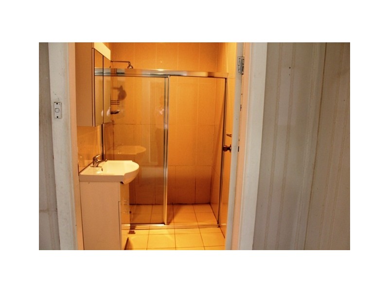 24 Bareena St, Canley Vale NSW 2166