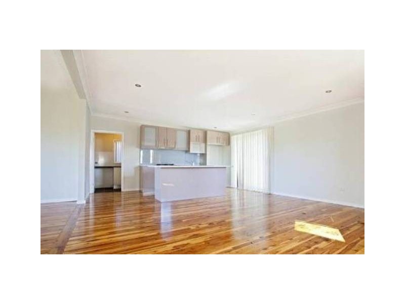 65 Anderson Avenue, Mount Pritchard NSW 2170