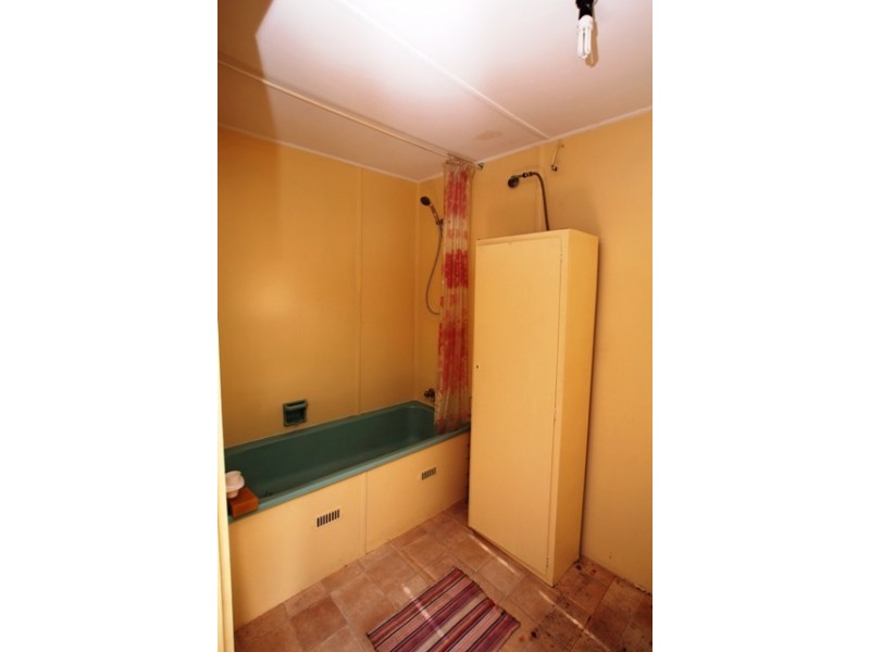 34 Earl Street, Canley Heights NSW 2166