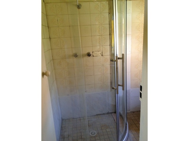 46 Pevensey Street, Canley Vale NSW 2166