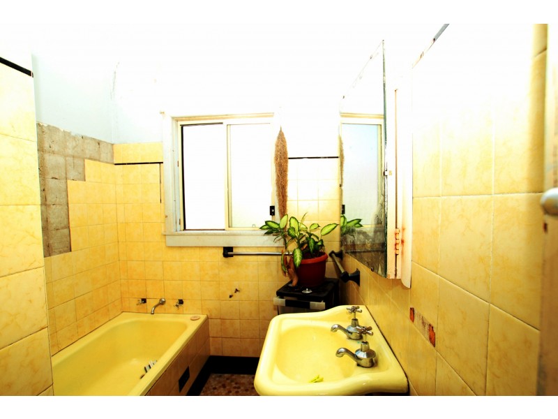 19 Ramsay Street, Canley Vale NSW 2166