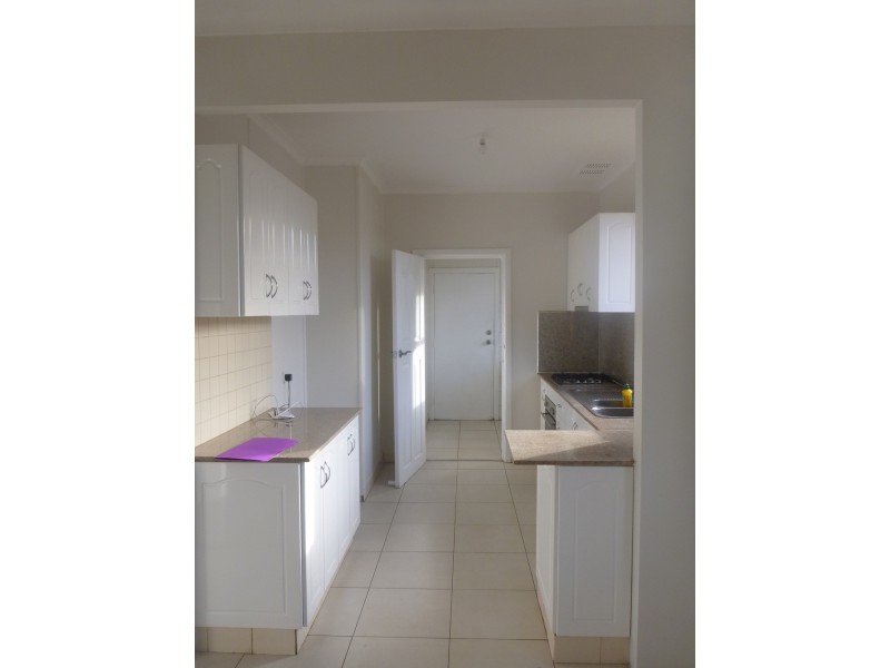 29 Mundamatta Street, Villawood NSW 2163