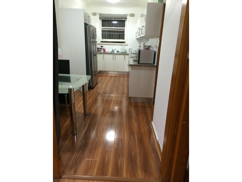 12 Curtin Street, Cabramatta NSW 2166