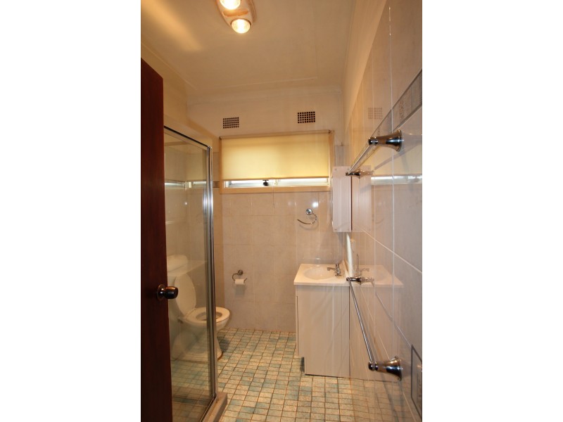 107 Wyong Street, Canley Heights NSW 2166