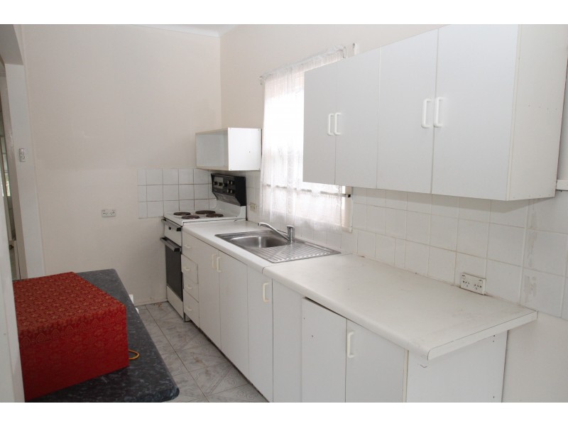 102 The Avenue, Canley Vale NSW 2166