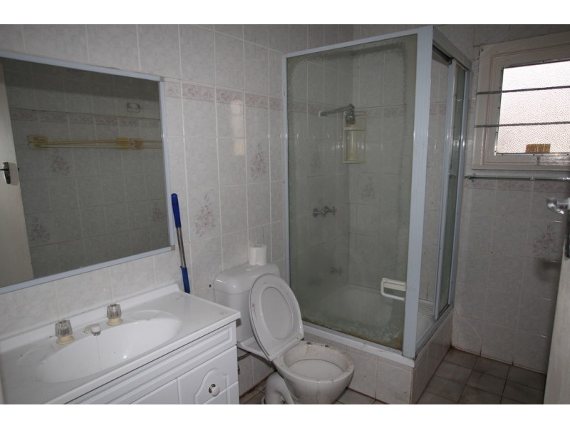 102 The Avenue, Canley Vale NSW 2166