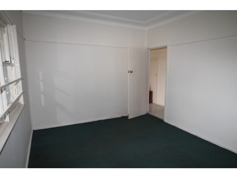 102 The Avenue, Canley Vale NSW 2166