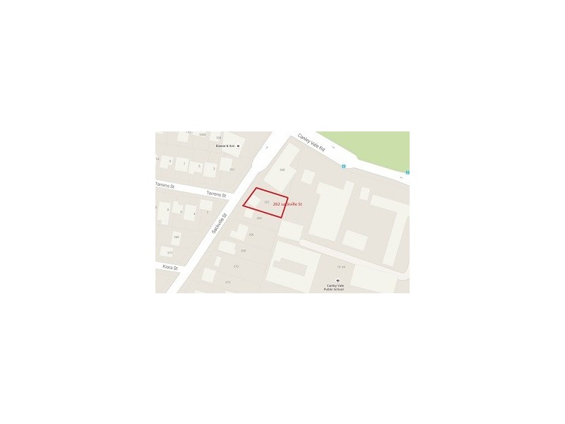 262 SACKVILLE STREET, Canley Vale NSW 2166