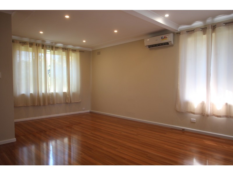 117 River Avenue, Villawood NSW 2163