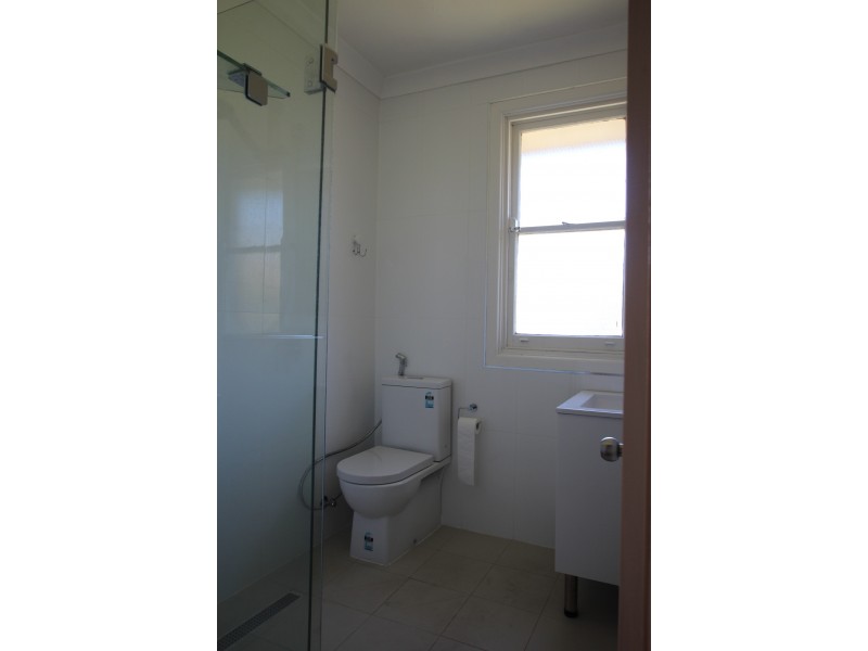 117 River Avenue, Villawood NSW 2163