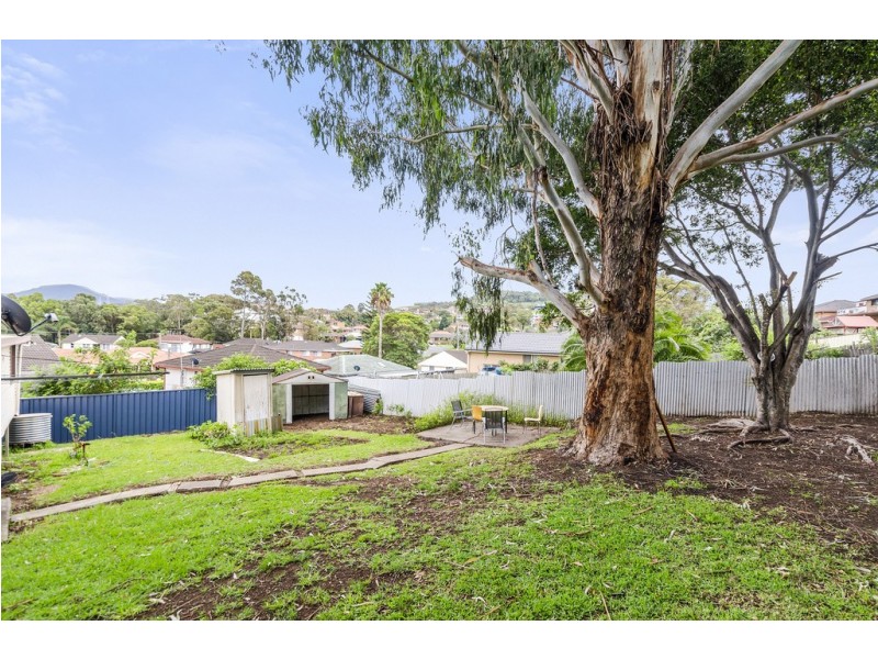 6 Wirri Place, Berkeley NSW 2506