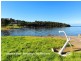 6 Wirri Place, Berkeley NSW 2506