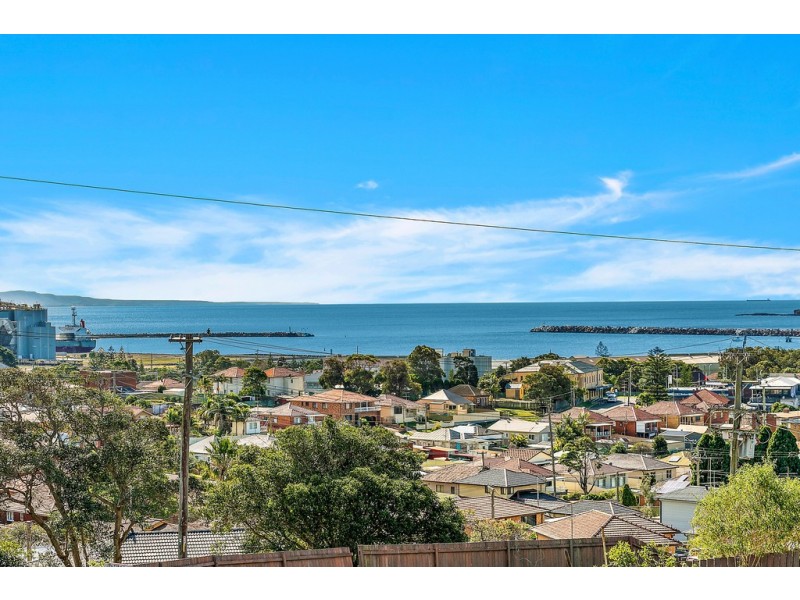 1and1A Robertson Street, Port Kembla NSW 2505