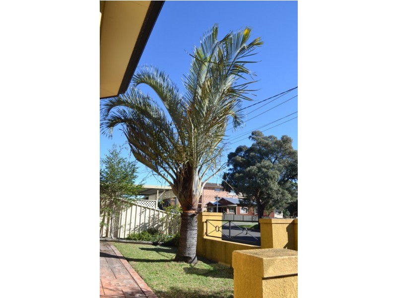 1/13 Bligh St, Wollongong NSW 2500