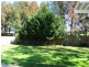 12 Hooka Creek Rd, Berkeley NSW 2506