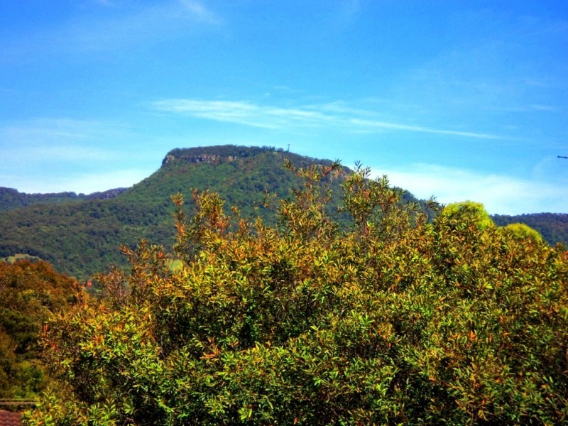 4/7 Wiseman Ave, Wollongong NSW 2500