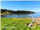 32 Whimbrel Ave, Berkeley NSW 2506