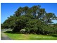 113 Farmborough Rd, Farmborough Heights NSW 2526