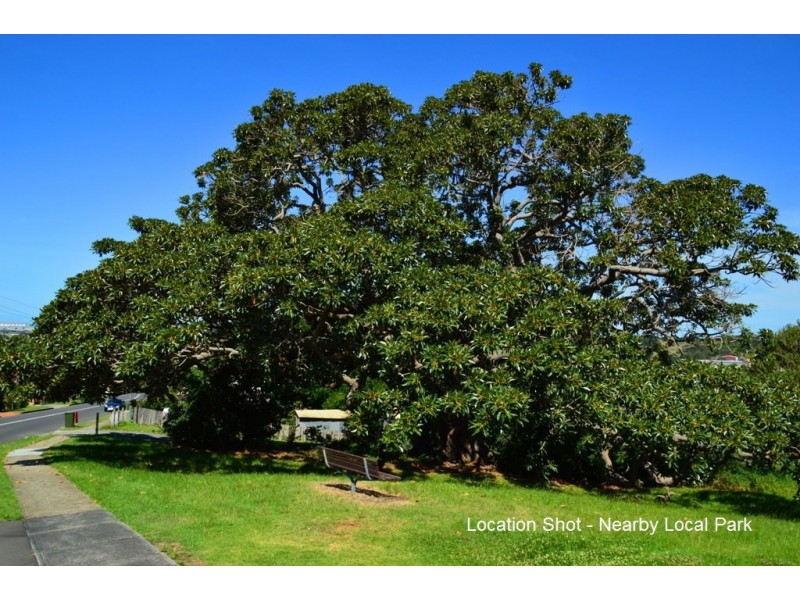 113 Farmborough Rd, Farmborough Heights NSW 2526