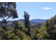 26 Camden Grove, Figtree NSW 2525