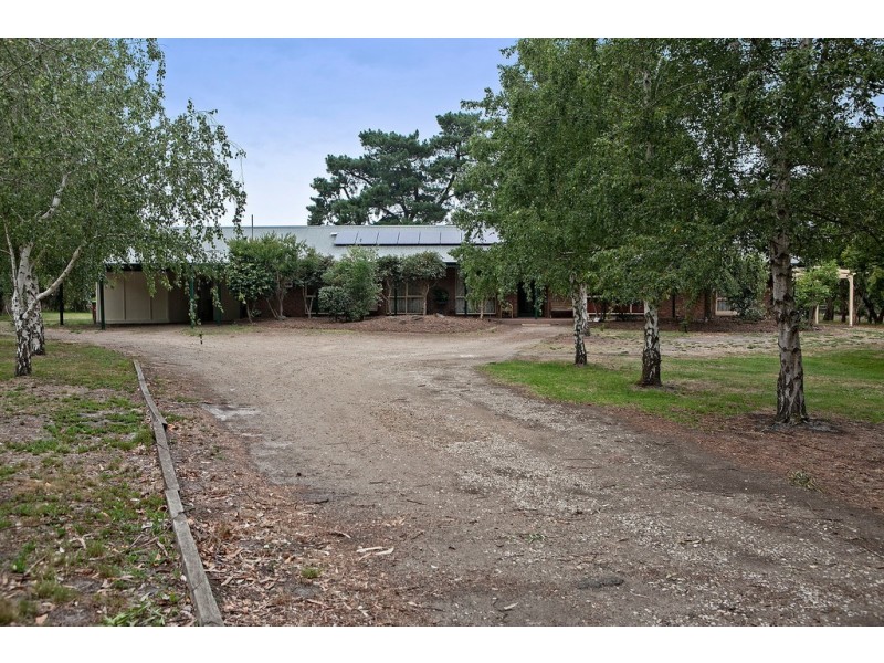 8 Currawong Grove, Cannons Creek VIC 3977