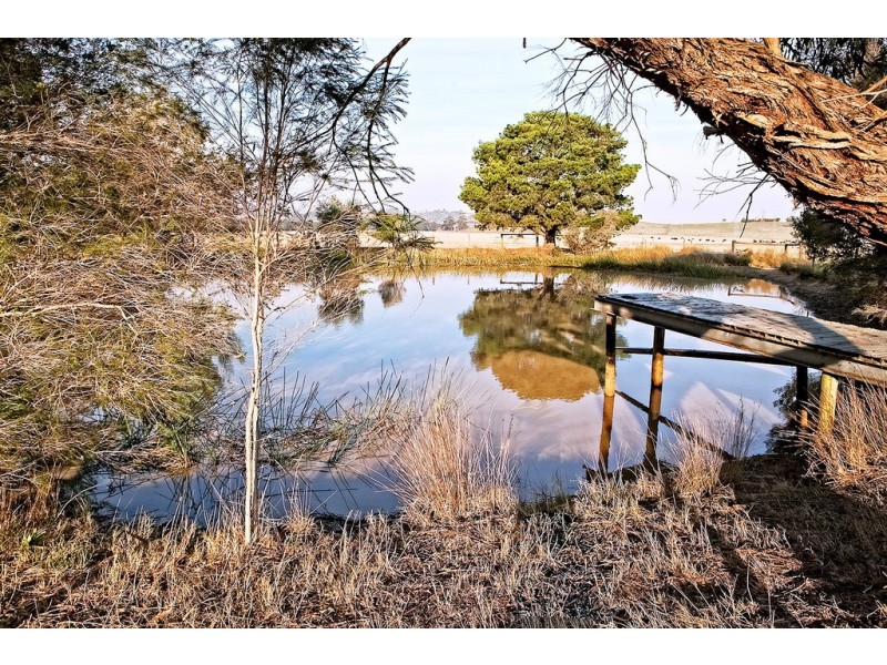 170 Thewlis Road, Pakenham VIC 3810