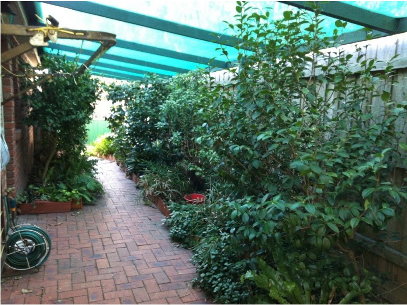 9 Hollydale Cl, Berwick VIC 3806