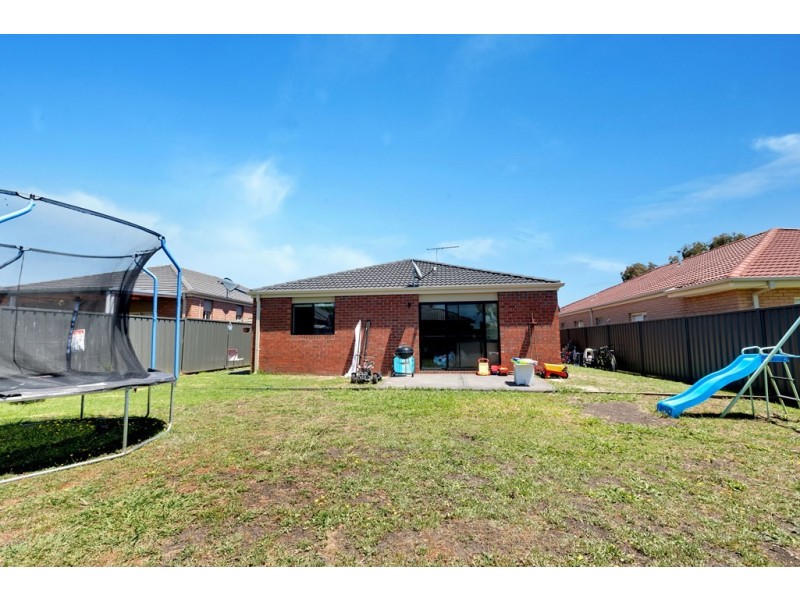 38 Hal Porter Terrace, Lynbrook VIC 3975