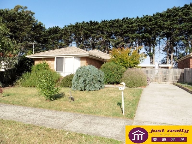 55 St Bowells Avenue, Berwick VIC 3806