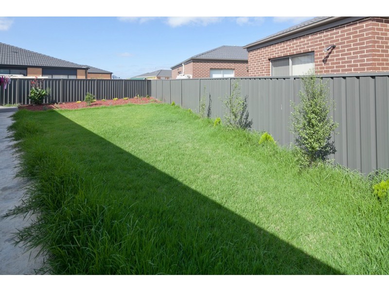 223 Paterson Drive, Lynbrook VIC 3975