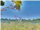 33 Midway Terrace, Pacific Pines QLD 4211