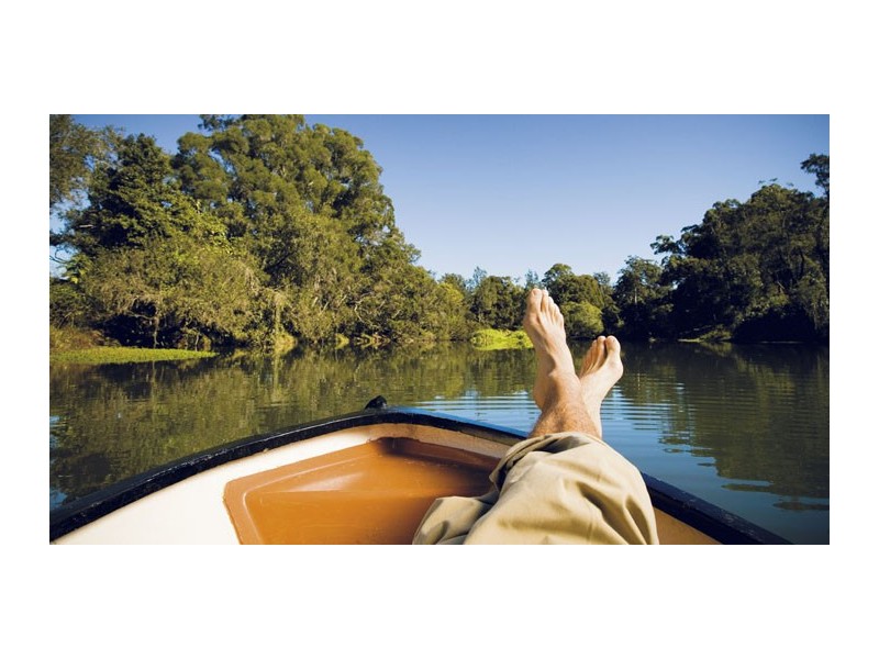 26 Homestead Circuit, Upper Coomera QLD 4209