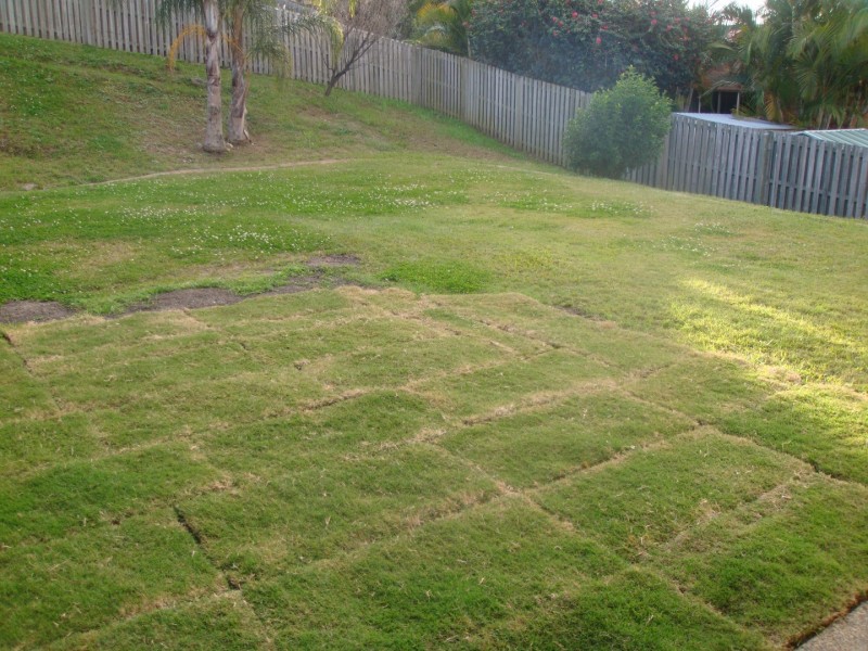 36 Easter Crescent, Pacific Pines QLD 4211