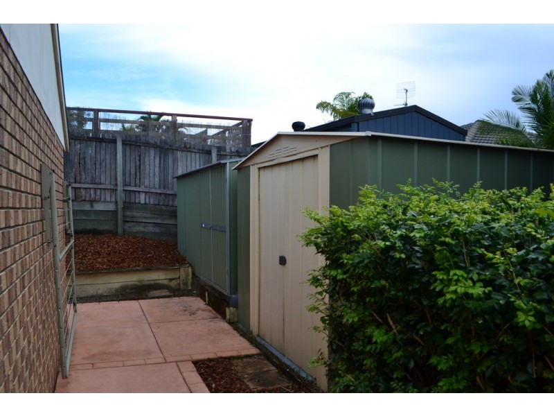 4 Pineneedle Court, Oxenford QLD 4210