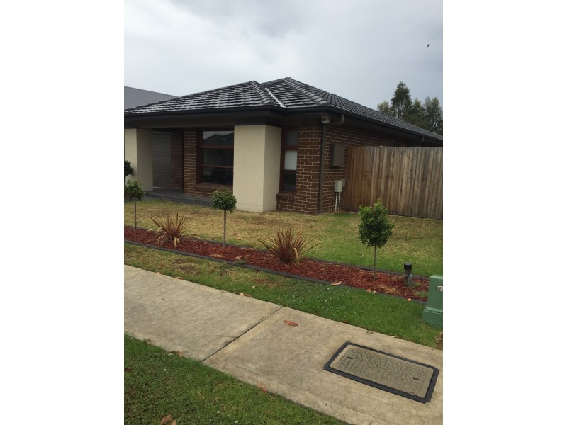 11 Shellbourne Place, Cranebrook NSW 2749