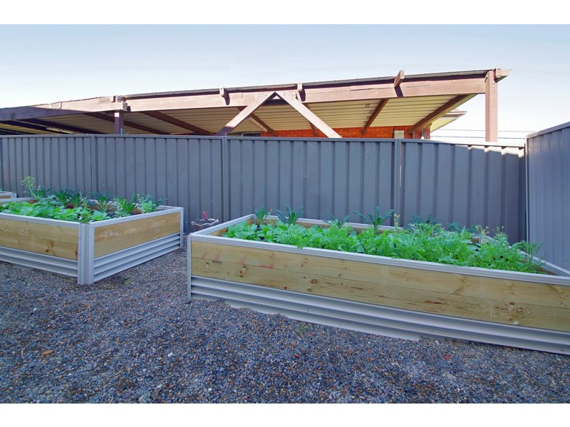 36 The Crescent, Toongabbie NSW 2146