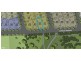 50 Sundew Parade, Marsden Park NSW 2765
