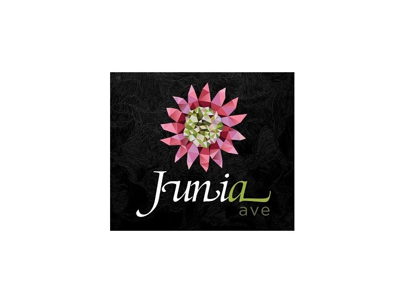 10 Junia Ave, Toongabbie NSW 2146