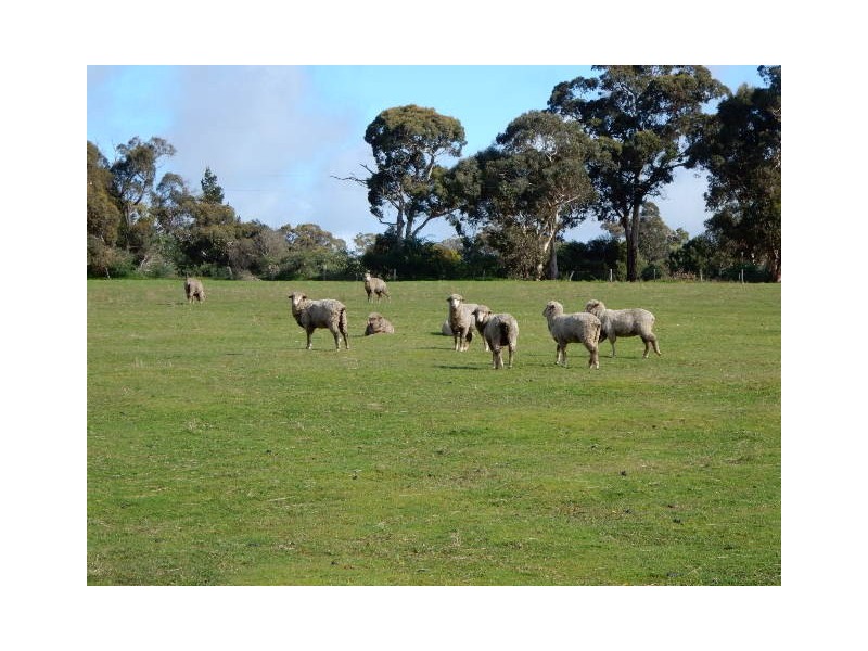 68 Depledge, Kendenup WA 6323