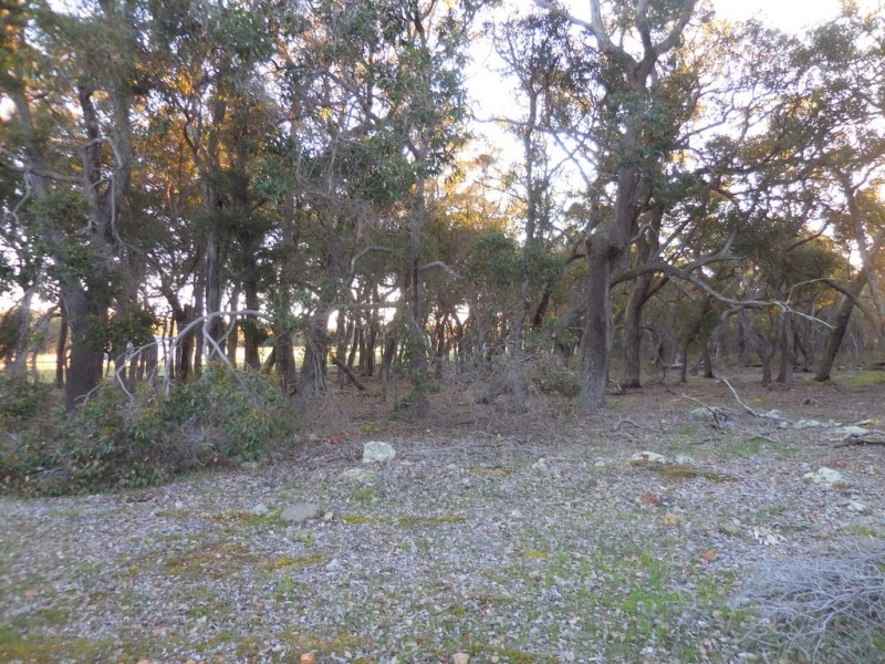lot 44 Albany Highway, Mount Barker WA 6324