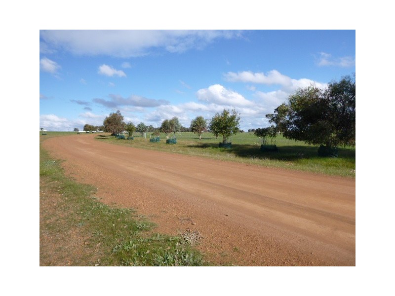 lot 32, 139 Shepherd Road, Frankland WA 6396