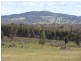 Lot 22 Porongurup Road, Mount Barker WA 6324