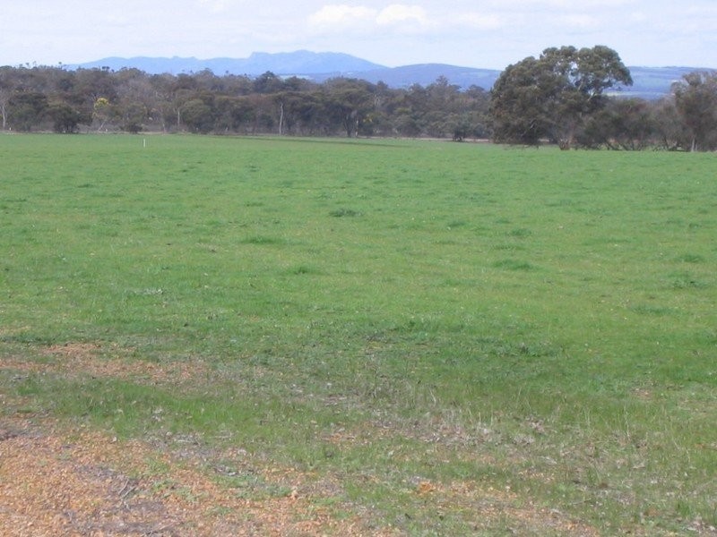 Loc 27 Carbarup Road, Kendenup WA 6323