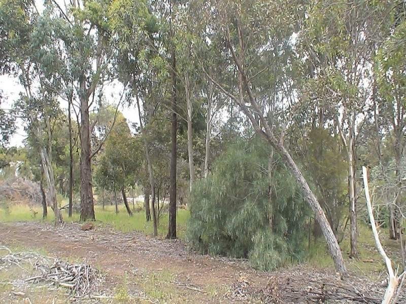 302B Menston Street, Mount Barker WA 6324