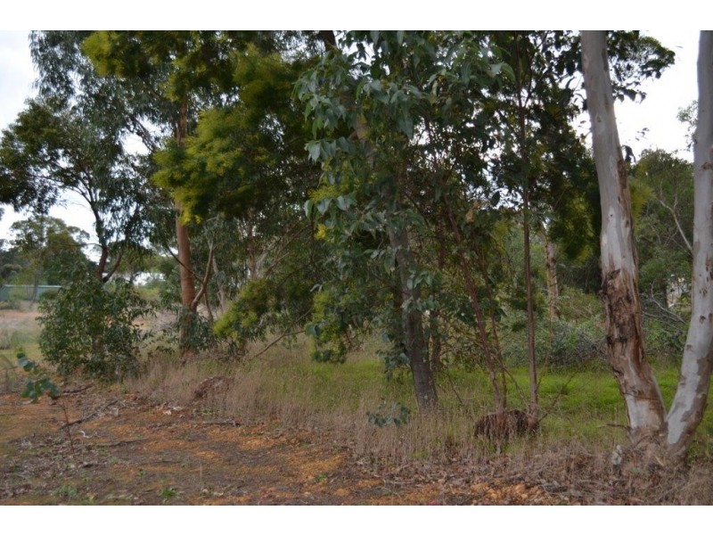 302B Menston Street, Mount Barker WA 6324