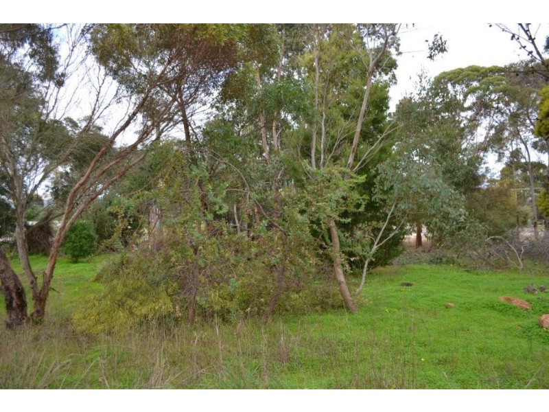 302B Menston Street, Mount Barker WA 6324