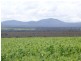 5117 Red Gum Pass Road, Kendenup WA 6323
