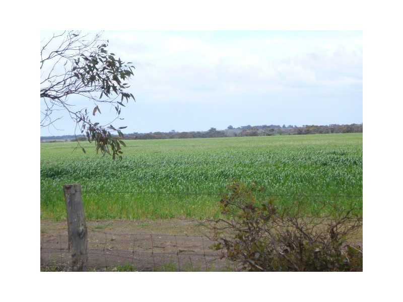 5117 Red Gum Pass Road, Kendenup WA 6323