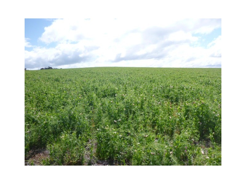 5117 Red Gum Pass Road, Kendenup WA 6323